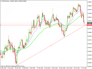 nzdusddaily